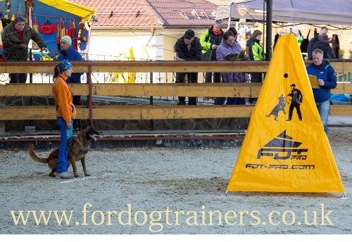 dog training blind for schutzhund